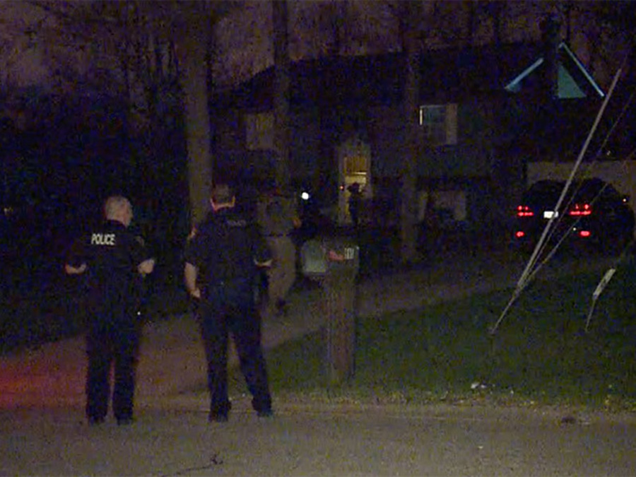 Teen who police say killed his 11YO brother in a 'premeditated act